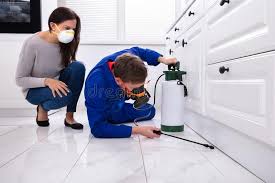 Emergency Pest Control Services in Parkersburg, WV